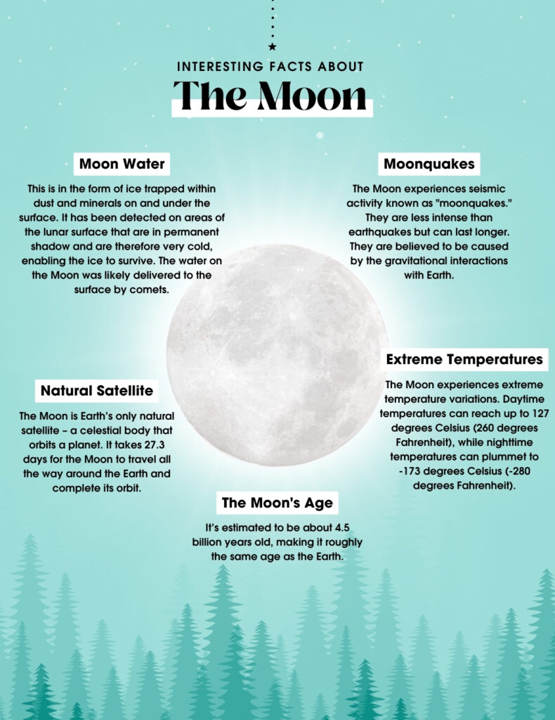 Facts About The Moon | Infinity Creative
